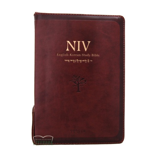 NIV 영한스터디성경 (소합본/갈색) 개역개정 영한성경
